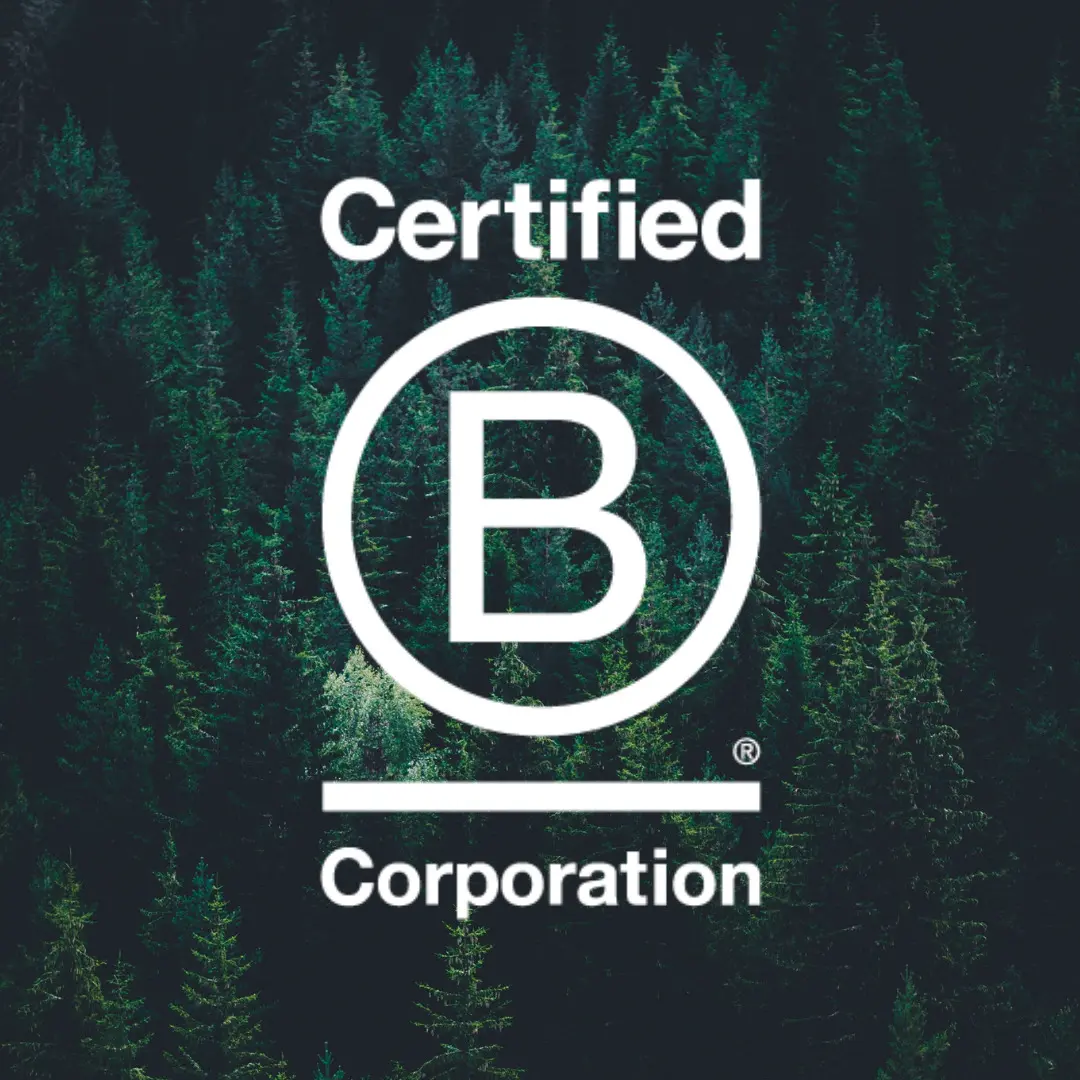Image of a rainforest with B Corp logo overlaid