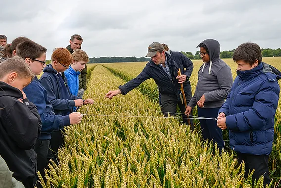 A group of school children standing in a field of crops with a farmer on a Country Trust visit
